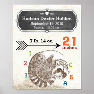 Baby Boy Birth Stats Cute Racoon and Arrow Poster