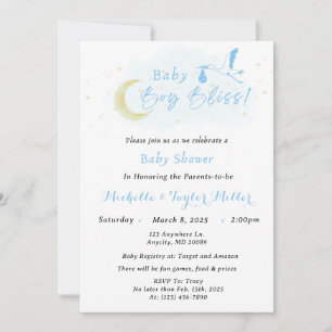 Baby Boy Bliss Stork Special Delivery Invitation