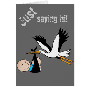 Baby Boy Blue & Stork