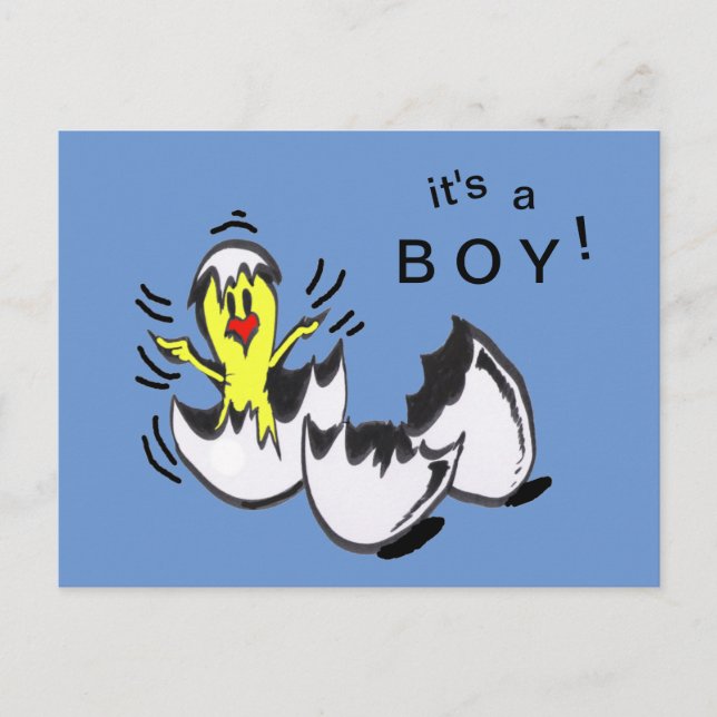 Baby BOY Chick Cartoon Postcard (Front)