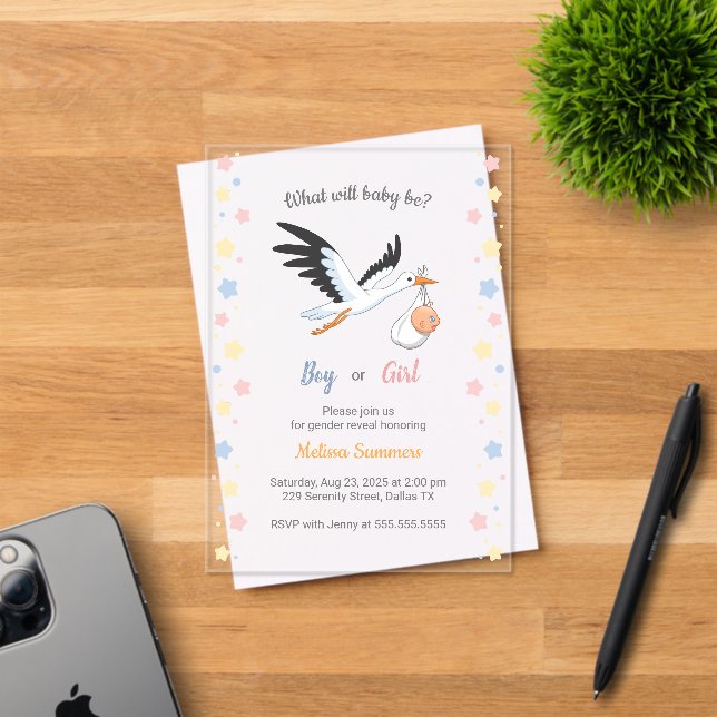 Baby Boy Girl Stork Gender Reveal Party Acrylic Invitations (Insitu (Invitation Card))