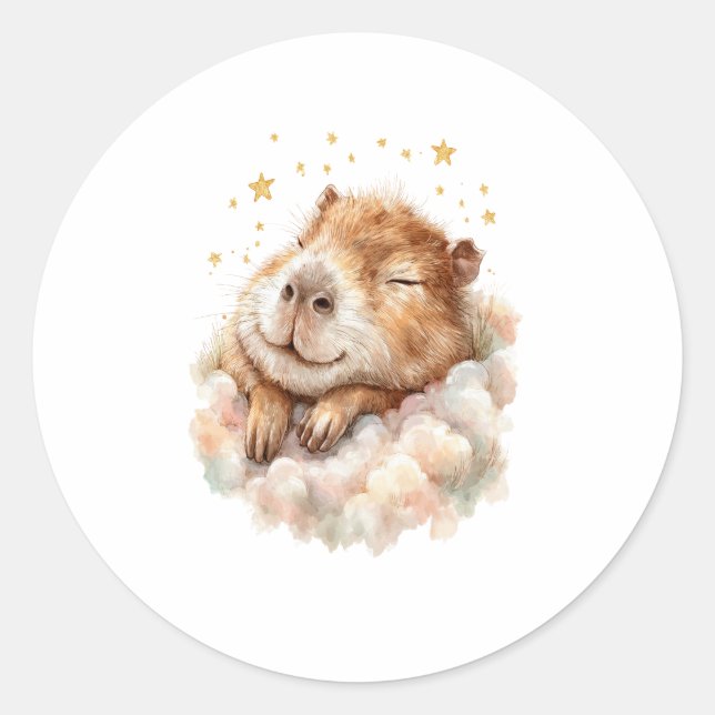 Baby Boy Shower Sticker • Cute Capybara (Front)