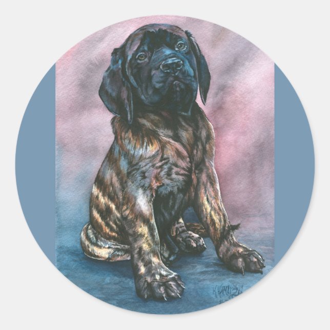 Baby Brindle Mastiff Classic Round Sticker (Front)