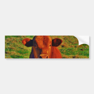 BABY BROWN COW EATING BUMPER STICKER