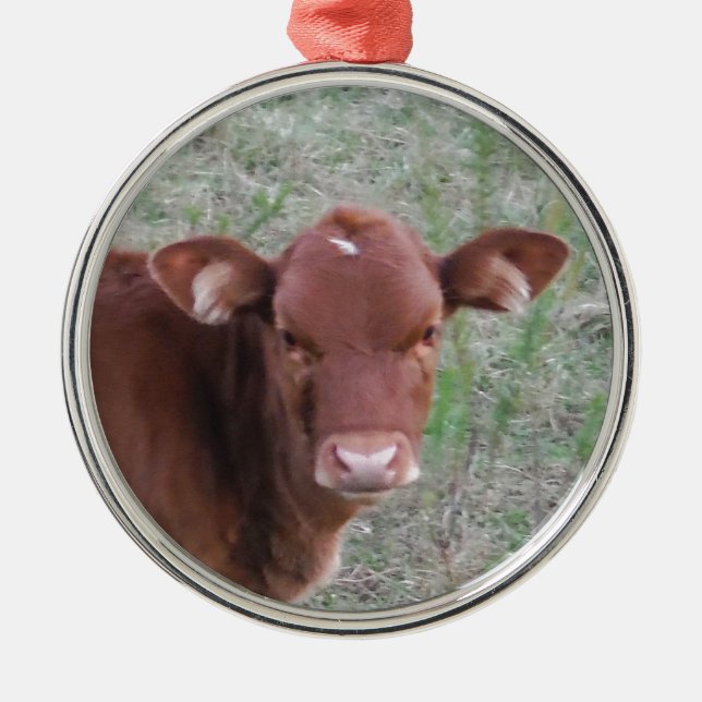 Baby Brown Cow face Metal Ornament (Front)