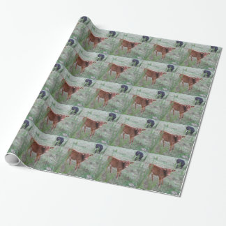 Baby Brown Cow . Wrapping Paper