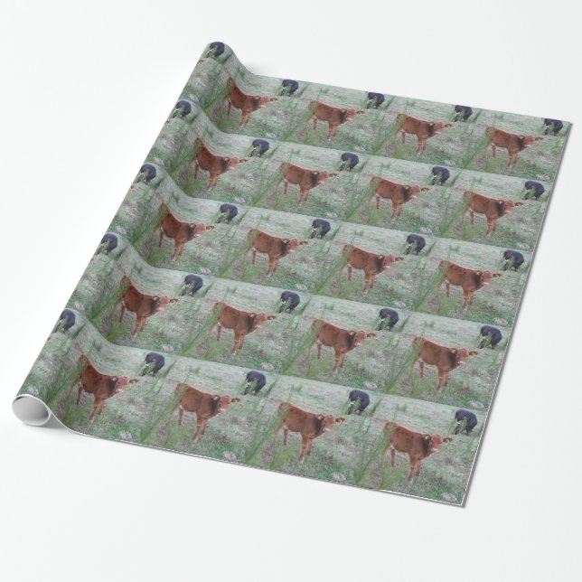 Baby Brown Cow . Wrapping Paper (Unrolled)