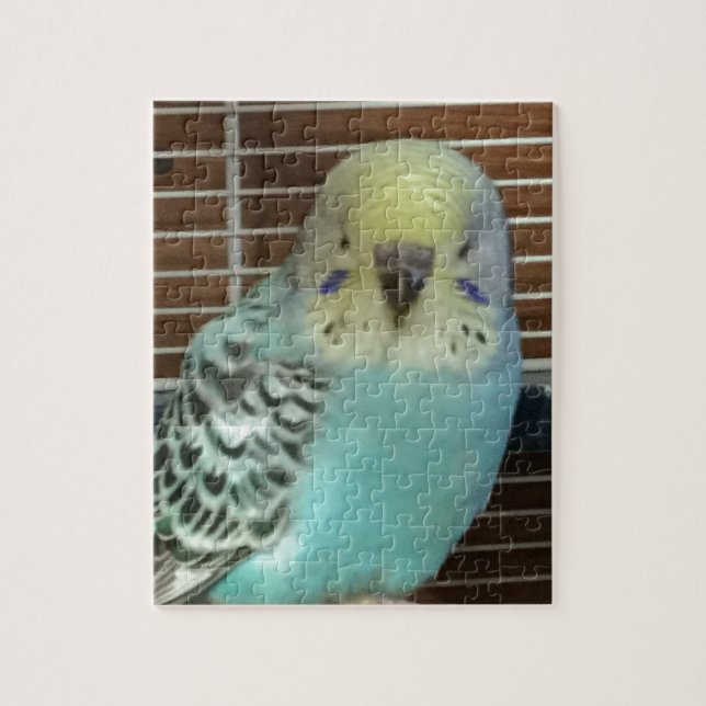 Baby budgie jigsaw puzzle (Vertical)