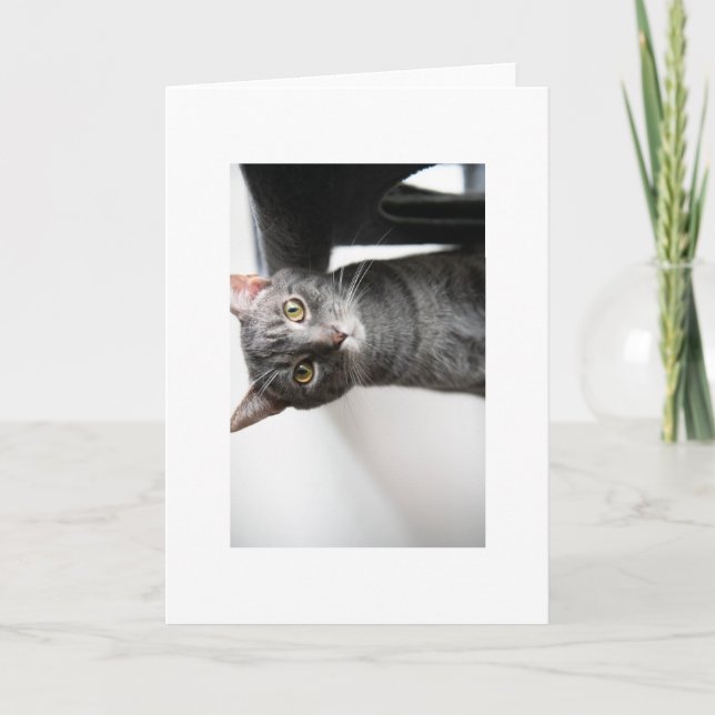 Baby Bug Card (Front)