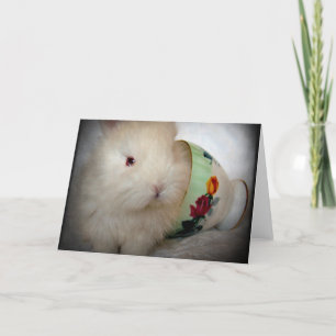 Baby Bunny All Occasions  Card
