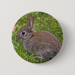Baby Bunny Badge