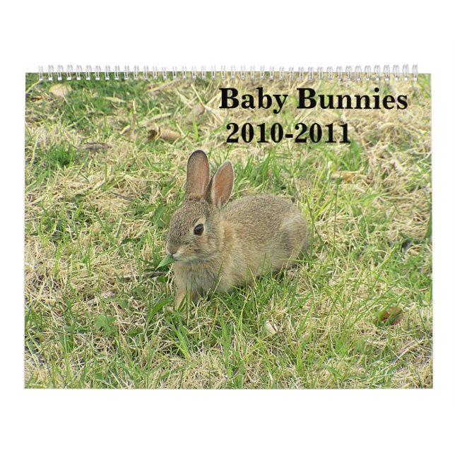 Baby Bunny Calendar 2010-2011 (Cover)