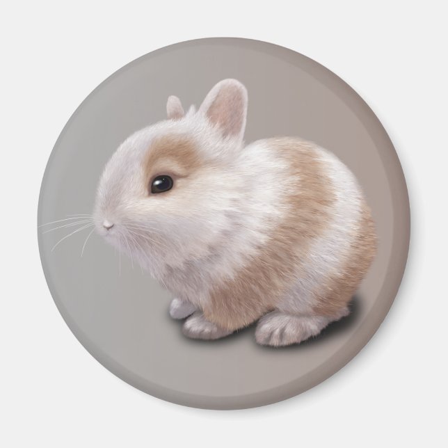 Baby Bunny Magnet (Front)