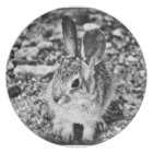 Baby Bunny Melamine Plate