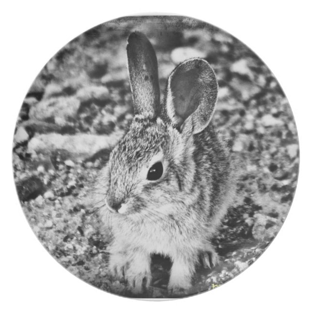 Baby Bunny Melamine Plate (Front)