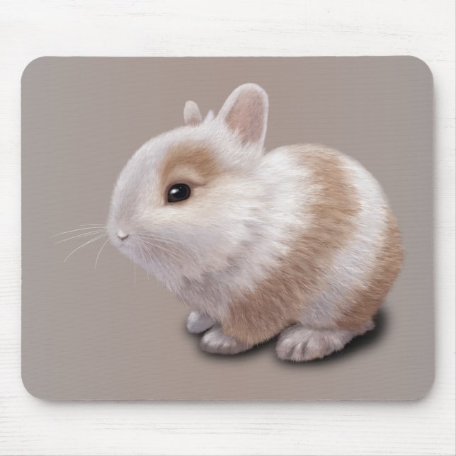 Baby Bunny Mouse Pad (Front)