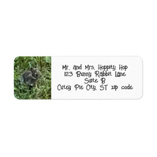 Baby Bunny Rabbit Address Labels