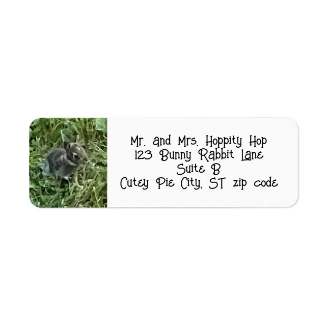 Baby Bunny Rabbit Address Labels (Front)