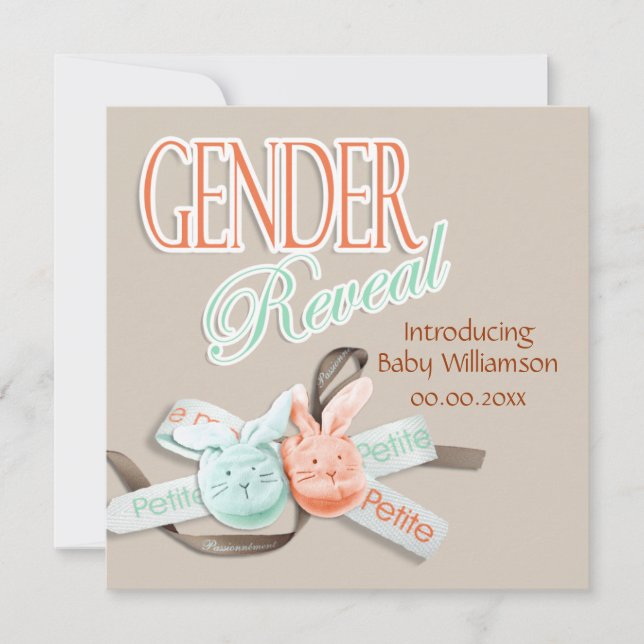 Baby bunny rabbit gender reveal invitation (Front)