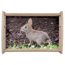 Baby Bunny Rabbit Serving Tray