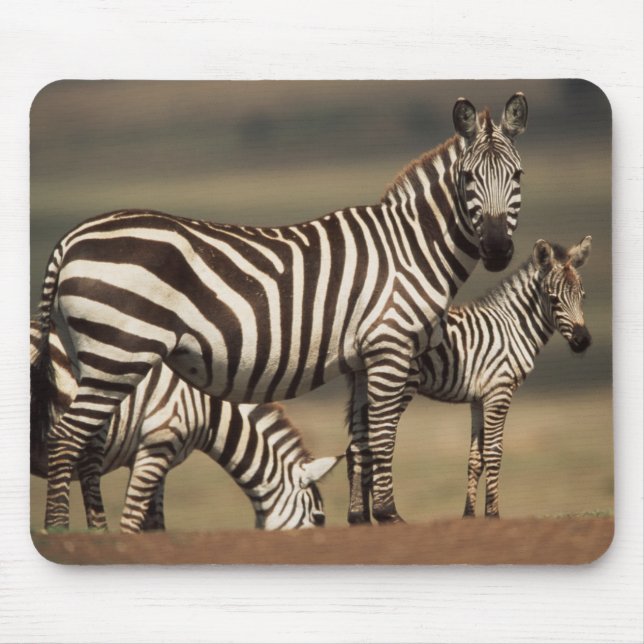 Baby Burchell's Zebra with mother Mouse Pad (Front)