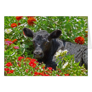 Baby Calf in the flowers