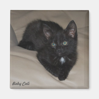 Baby Cali Magnet