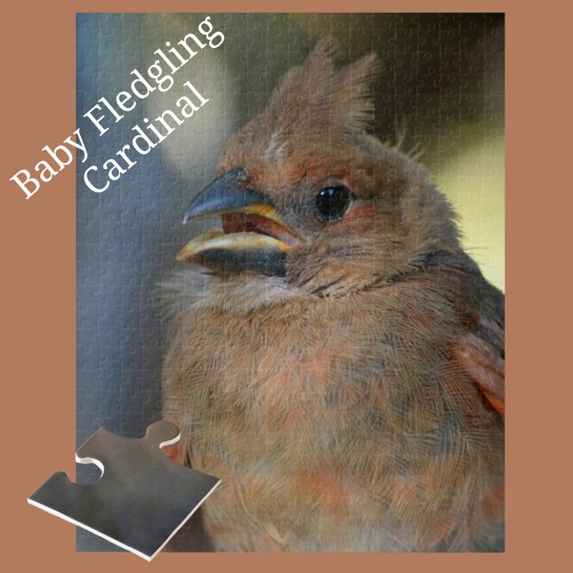 Baby Cardinal Bird Close-up Photographic Jigsaw Puzzle (Creator Uploaded)