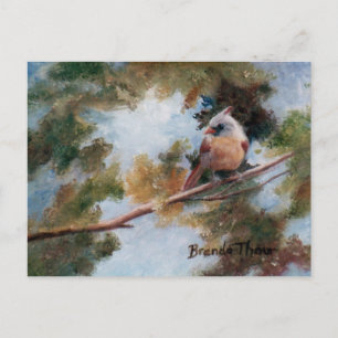 Baby Cardinal Postcard