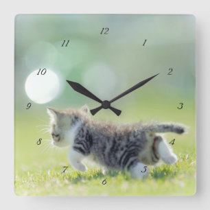 Baby cat running on grass field. square wall clock
