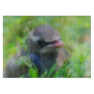 Baby Cedar Waxwing Fledgling Bird Animal Cutting Board