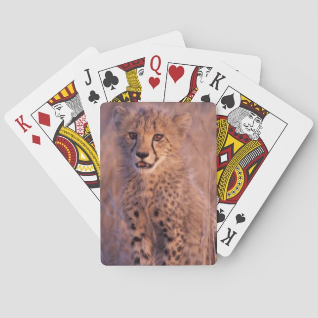 Baby Cheetah Playing Cards (Back)