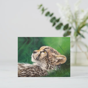 Baby Cheetah postcard