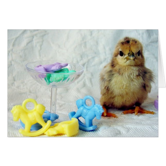 Baby Chick (Front Horizontal)