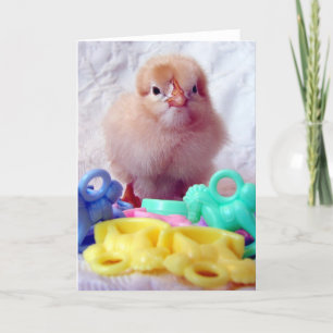 Baby Chick Card