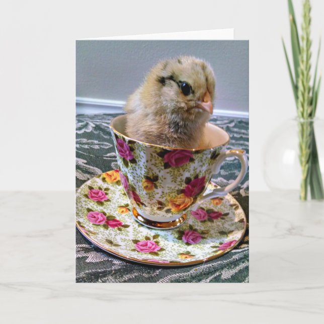 Baby Chick in a Tea Cup Greeting Card (Front)