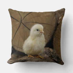 Baby Chick On Logs Cushion