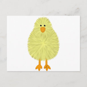 Baby Chick Postcard