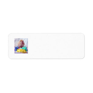 Baby Chick Return Address Label