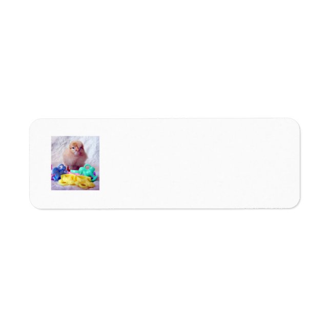 Baby Chick Return Address Label (Front)