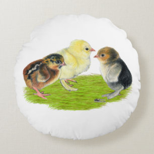 Baby Chick Trio Round Cushion