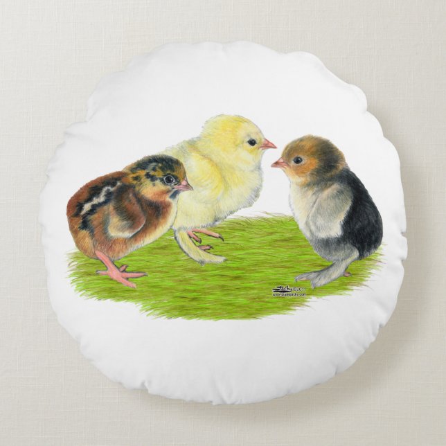 Baby Chick Trio Round Cushion (Front)