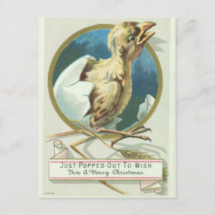 Baby Chick Victorian Christmas Card