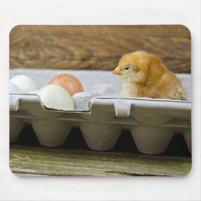 Baby chick with eggs in carton mouse pad (Front)
