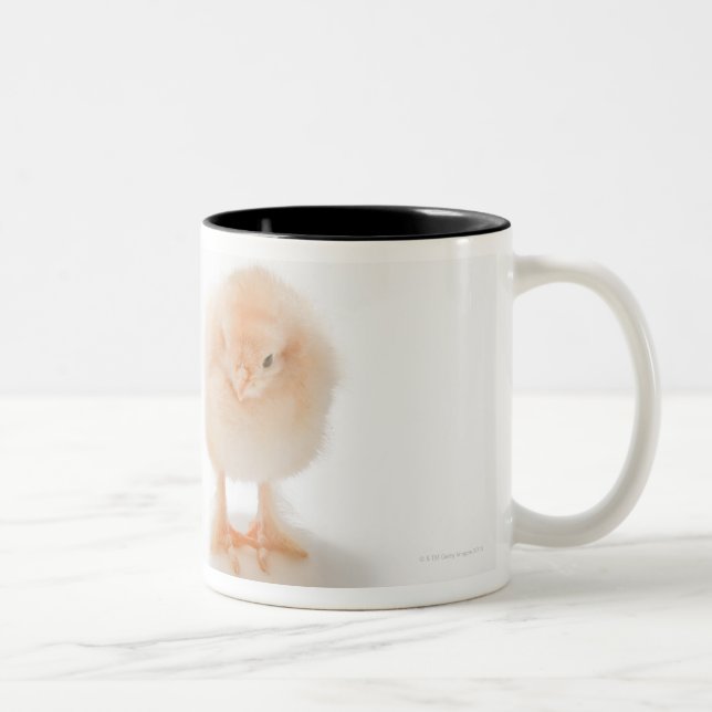Baby chicken and fake mechanical chicken Two-Tone coffee mug (Right)