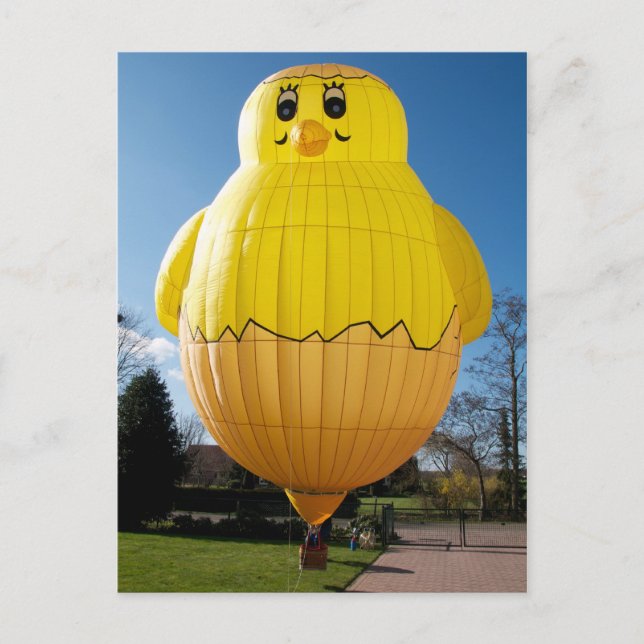 Baby Chicken Balloon Postcard (Front)