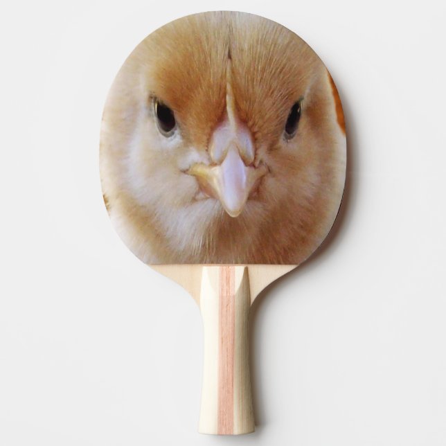 Baby Chicken Face, Ping Pong Paddle (Front)