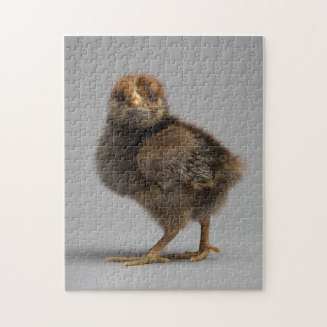 Baby Chicken Jigsaw Puzzle (Vertical)