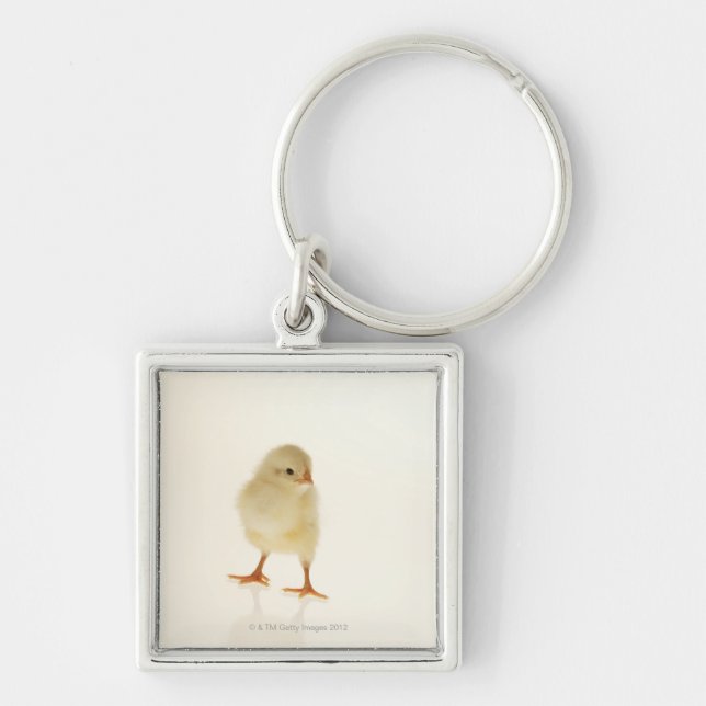 Baby chicken key ring (Front)