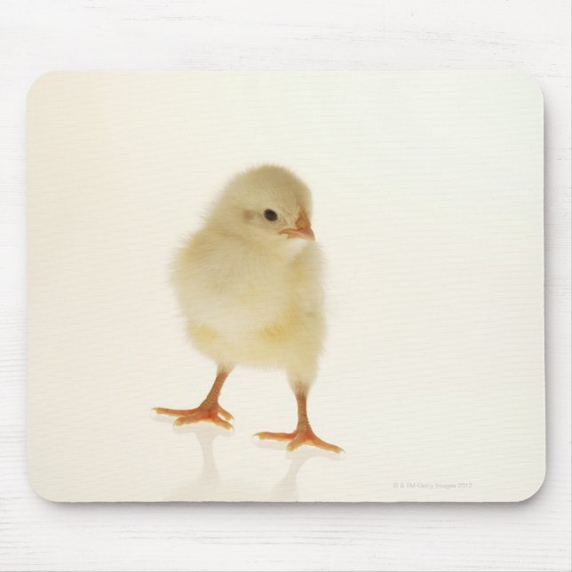 Baby chicken mouse pad (Front)